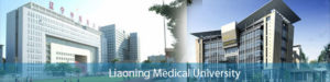 Jinzhou medical university